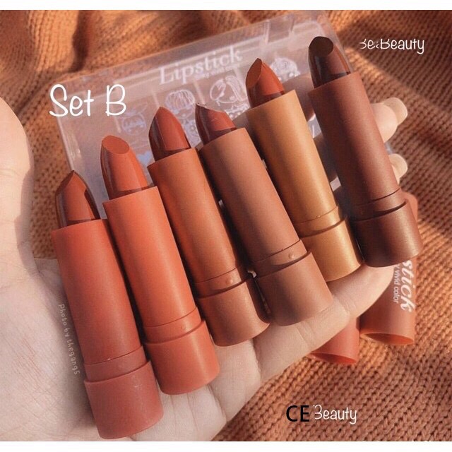 Set 6 Son Thỏi HengFang Lipstick Siiky Vivid Color Chính Hãng HengFang nội địa Trung