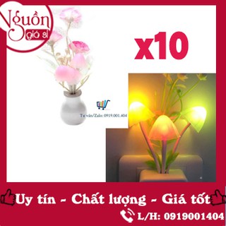 Compo 10 Đèn ngủ hình nấm và 10 đèn ngủ hình chậu hoa hồng