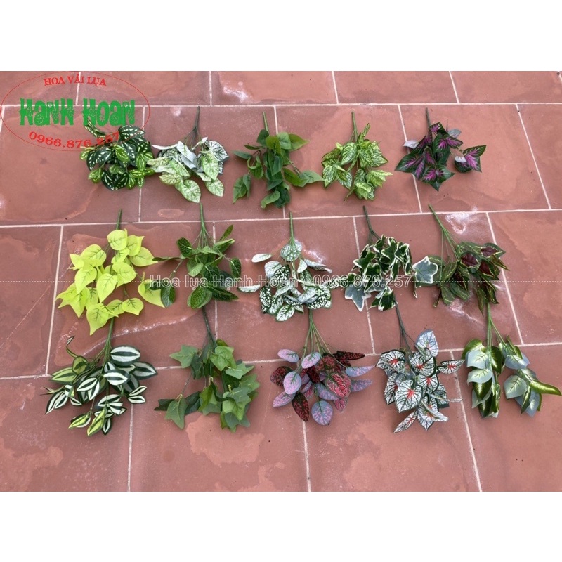 Cây lá điểm nhỏ trang trí tiểu cảnh , tường cỏ các loại- Cây lá giả