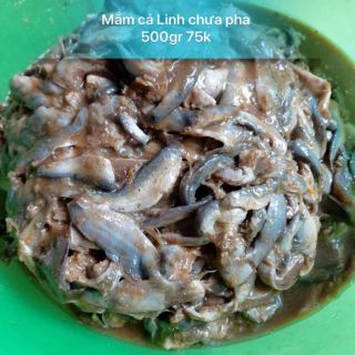 Mắm cá linh nguyên chất