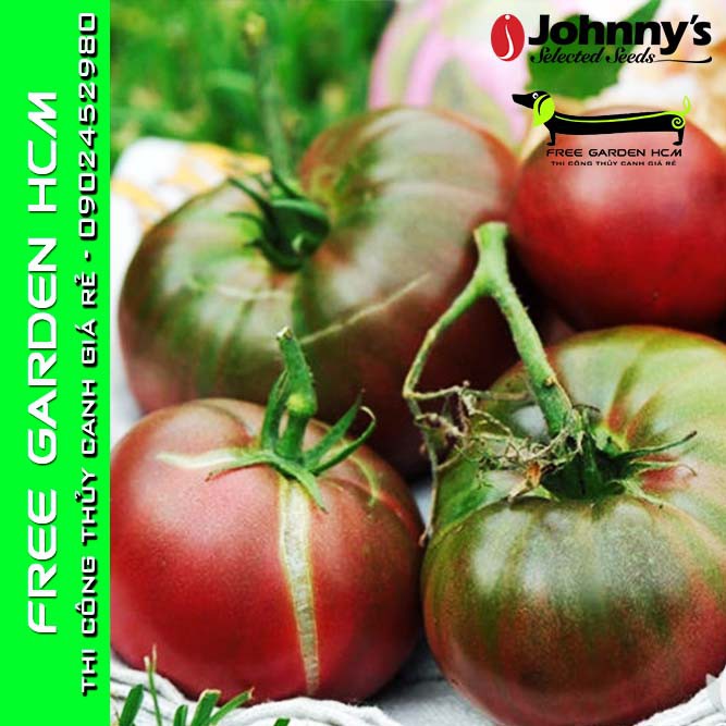 20 HẠT GIỐNG CÀ CHUA BLACK KRIM / INDIGO ROSE - Johnny’s Seed – Mỹ