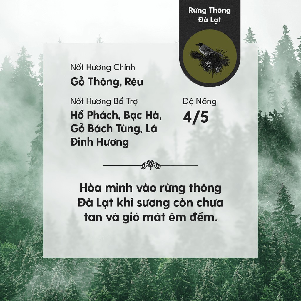 Tinh Dầu Phối Hương Da Lat Forest (Gỗ Thông Lạnh) Làm Nến Thơm, Xông Thơm Phòng HENY GARDEN