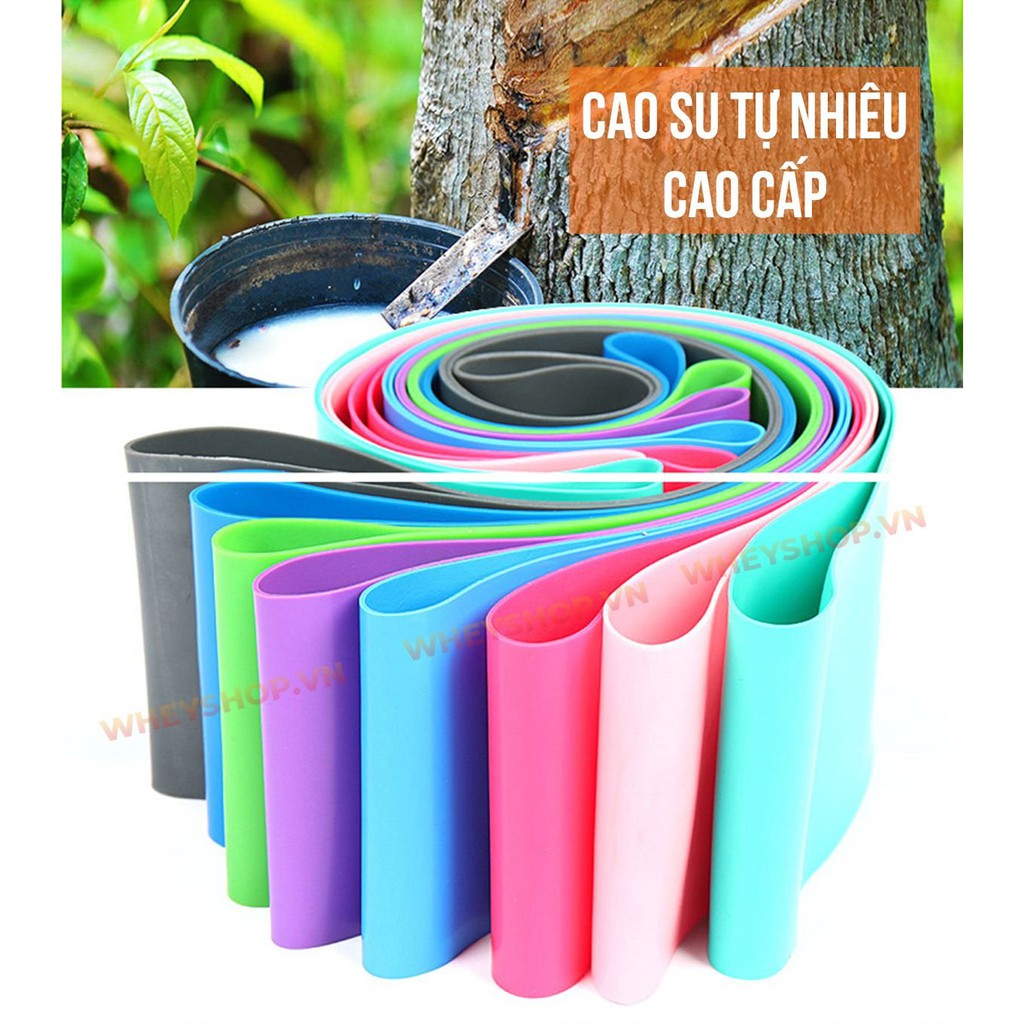 [ Giá Rẻ ] Dây Kháng Lực Tập Mông Mini Band Bộ 4-6 Cái