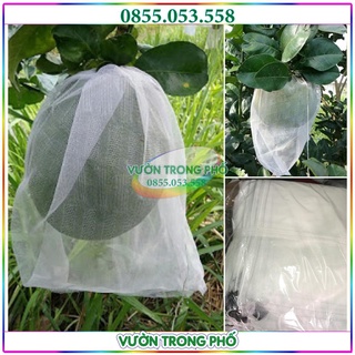Combo 100 Túi lưới bọc bưởi kích thước 30x30cm dùng cho bưởi, cam, xoài, mãng cầu - túi không dệt loại 1