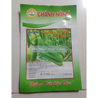 Hạt giống bầu sao dài CN