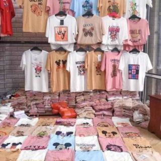 combo ao cua chi quyen 90k
