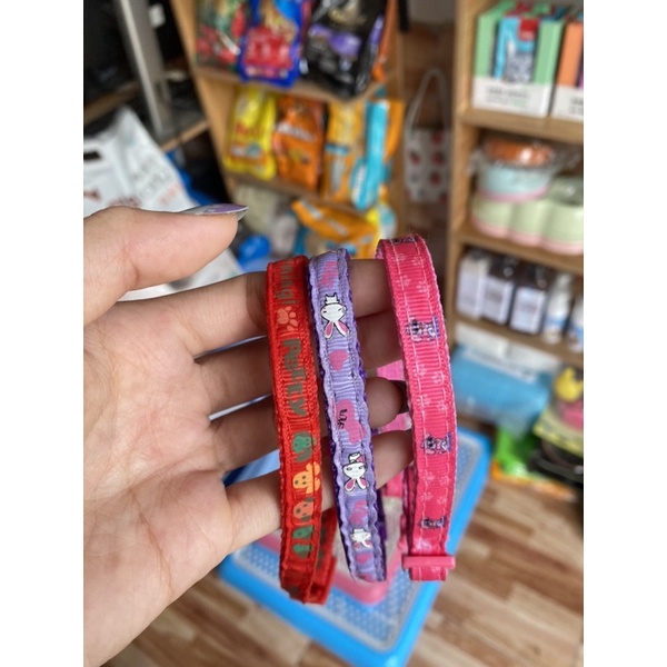 Vòng cổ cho chó mèo giá rẻ