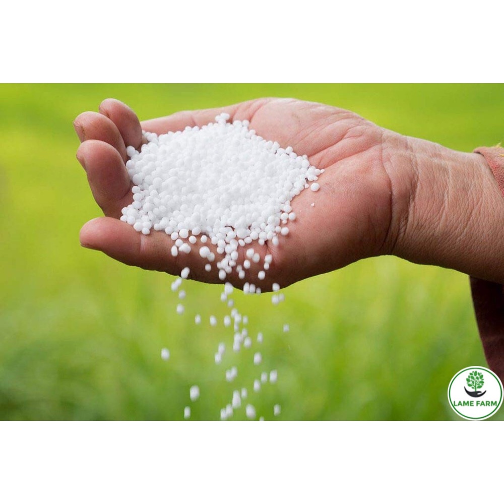Phân đạm ure giúp cây phát triển tốt