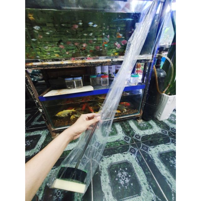 CÂY CHÀ VỆ SINH HỒ CÁ DÀI KHOẢNG 70CM