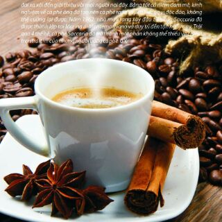 COMBO Cốc Cafe STARBUCK +thẻ