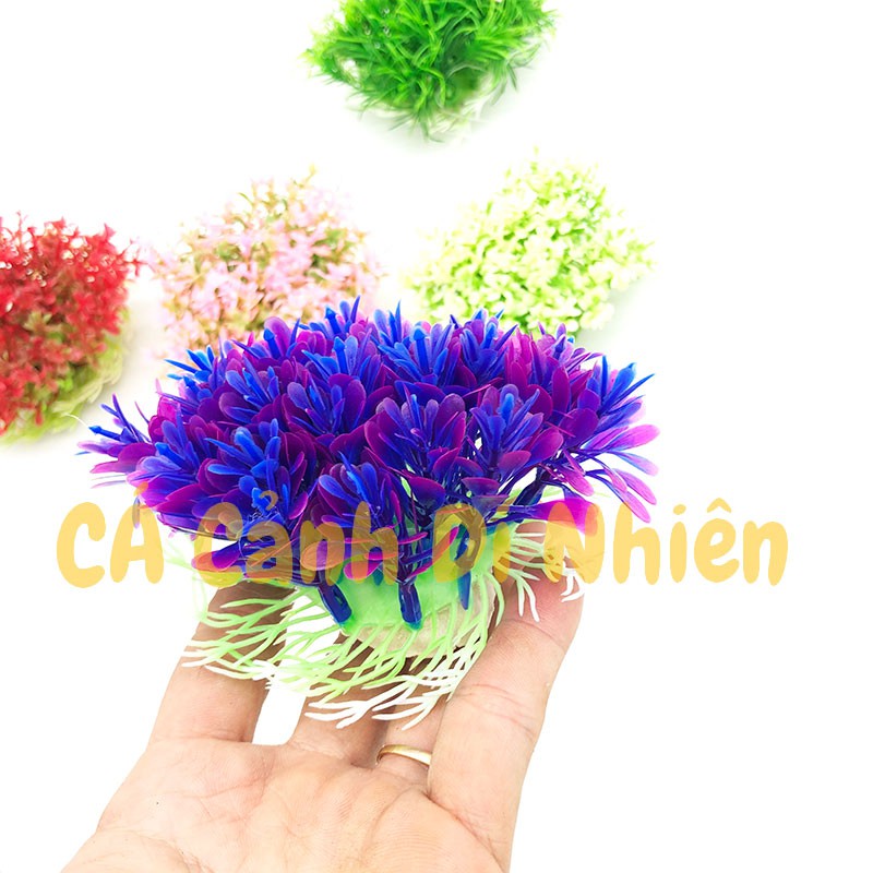 Mô hình cây rong CỎ CHÙM bằng nhựa trang trí hồ cá cảnh