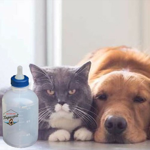 [GIÁ RẺ] BÌNH TI SỮA 50ML DÀNH CHO NHÀ ĐÔNG CON ĐÂY ^.^