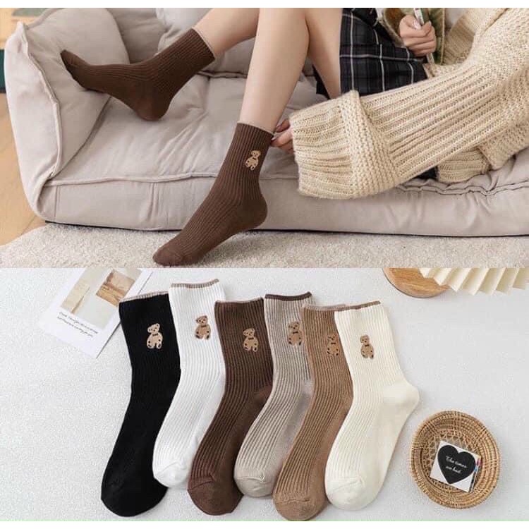 Set 5 đôi Tất nữ cổ cao - Vớ cổ cao vải cotton thêu hình chú Gấu Teddy phong cách thời trang Hàn Quốc
