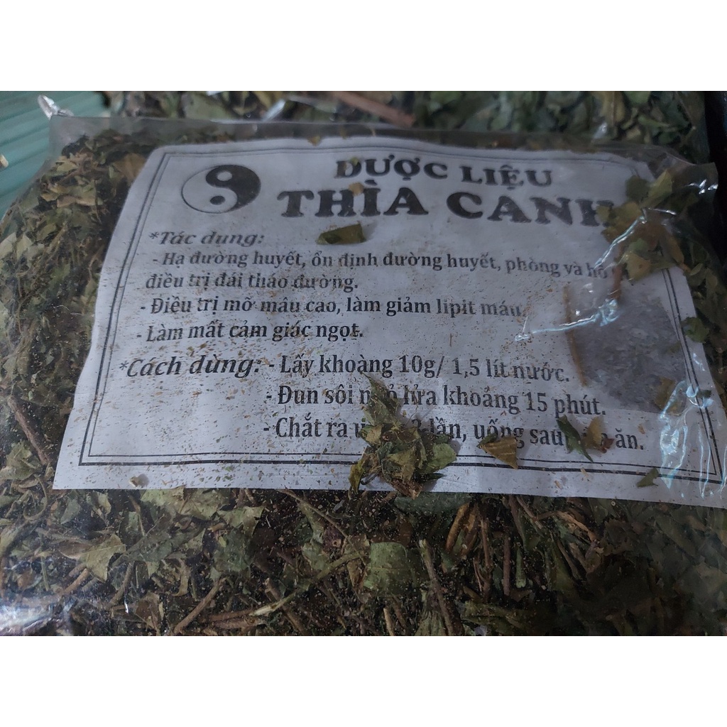 DÂY THÌA CANH