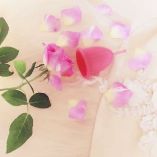 Cốc nguyệt san Sibell plus nhập khẩu chính hãng