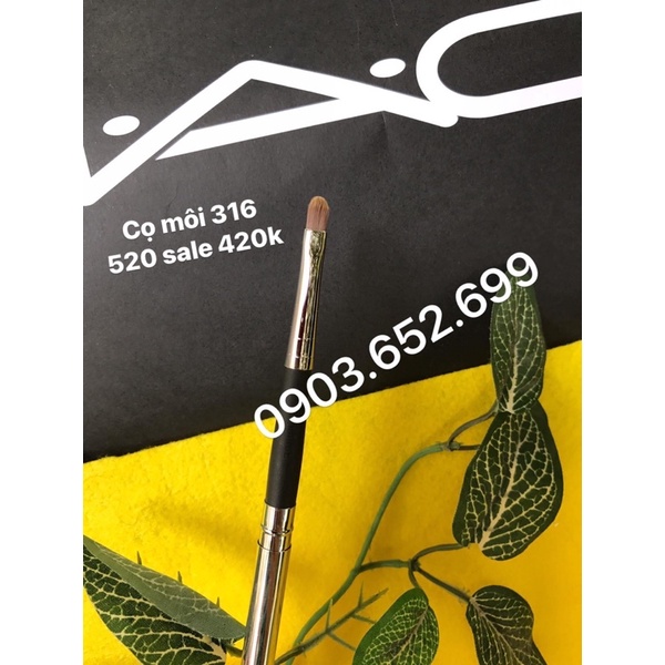 Cọ phủ, cọ mắt, ckđ… sale từ 450-880k | BigBuy360 - bigbuy360.vn