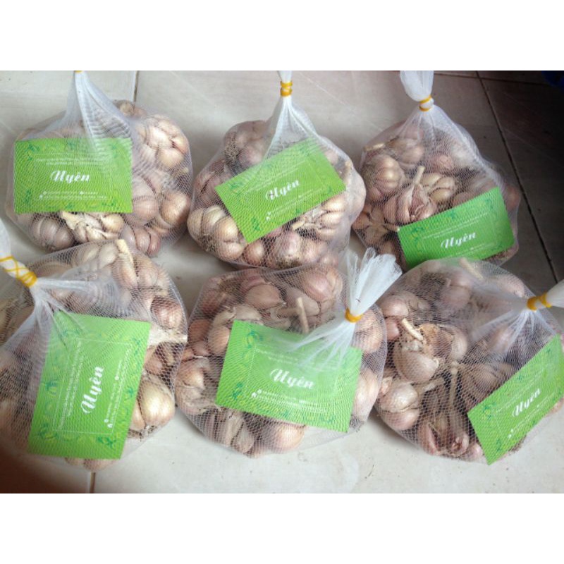 Tỏi Hà Nội ⚡ GIÁ ƯU ĐÃI ⚡ 1kg tỏi thủ đô chất lượng đảm bảo, hương vị thơm ngon