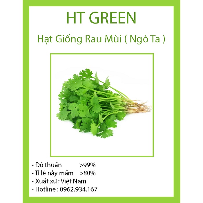 Hạt Giống Rau Mùi Ngò Ta