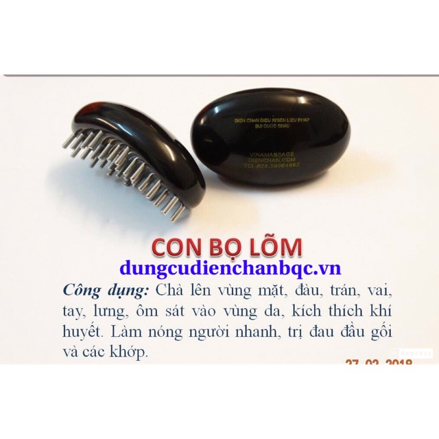 Con Bọ Lõm Diện Chẩn