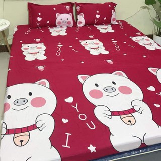 Bộ Ga Gối Cotton Poly Mẫu HEO ĐỎ TO- LỢN ĐỎ ĐỦ KÍCH THƯỚC CHỌN LỰA