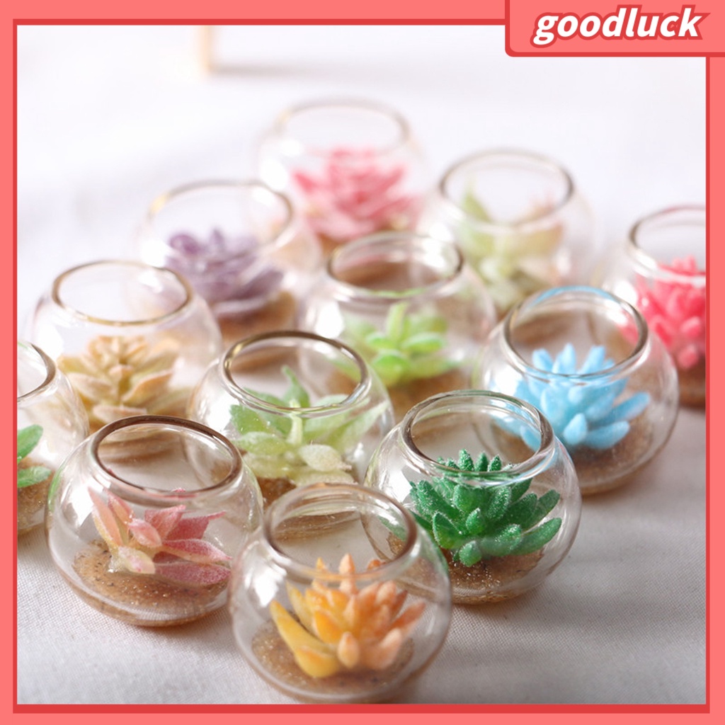 Đồ trang trí chậu cây mini màu sắc ngẫu nhiên trang trí bể cá