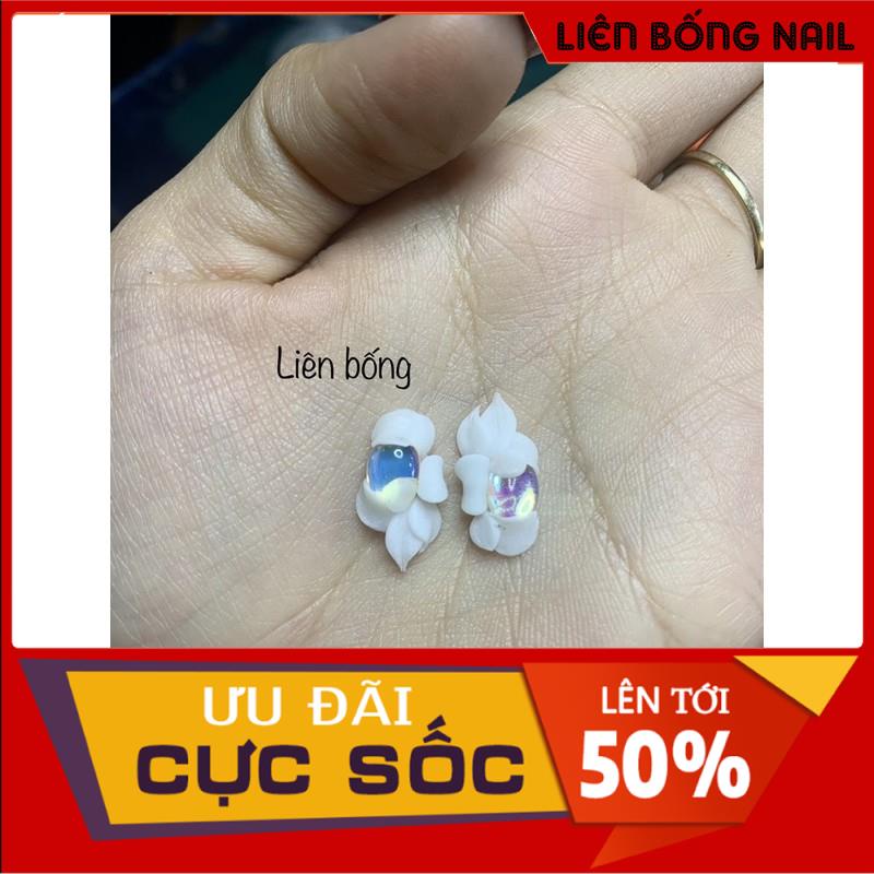 Hoa bột nail-hoa ôm chai mắt mèo bao đẹp từng cánh