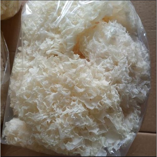 Nấm Tuyết (Ngân Nhĩ) Nguyên Bông Nhiều Chất Dinh Dưỡng Tốt Cho Sức Khỏe