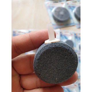 Sủi đĩa oxy siêu mịn cho hồ cá