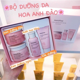 [Hàng AUTH ]SET DƯỠNG JEJU CHERRY BLOSSOM