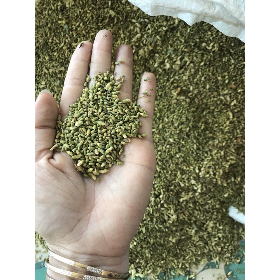 Trà Hoa Hòe Loại 1  500gram