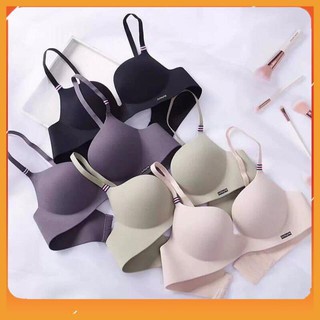 Áo lót cao su non xuất Pháp