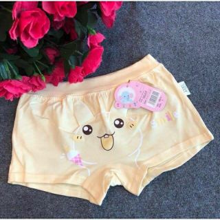 Combo 10 Quần Chip Đùi bé cao cấp