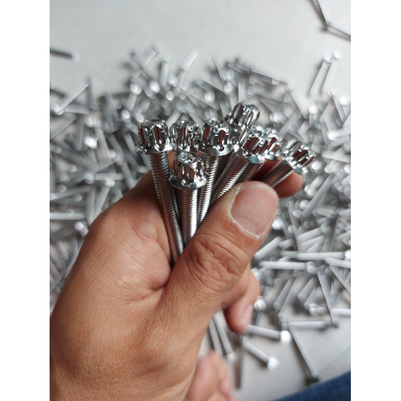 Ốc Salaya 6li đầu trụ inox 304