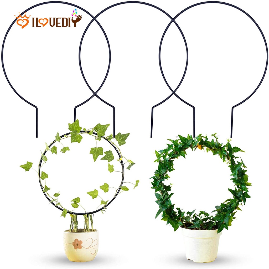 Khung Kim Loại Chống Gỉ Dùng Trồng Cây Dây Leo DIY