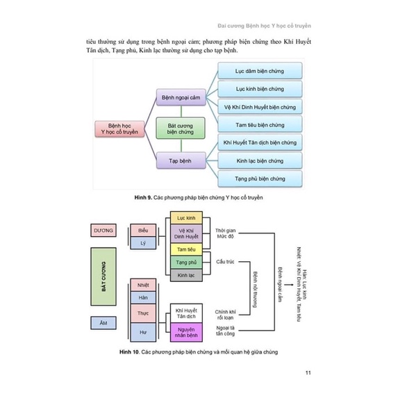 Sách - Bệnh học y học cổ truyền ( Giáo trình giảng dạy )