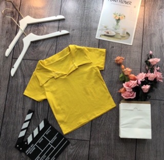 áo croptop cổ bẻ