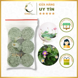 Set Lẻ 6 Viên Phân Bón Chuyên Dùng Cho Sen Súng và Cây Cảnh Ngập Nước