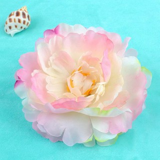 Mẫu đơn 12cm