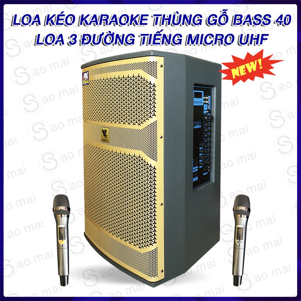 Loa kéo loa karaoke thùng gỗ, ATANNOII AT-089A công suất đỉnh 600W, kèm 2 micro ( vàng )