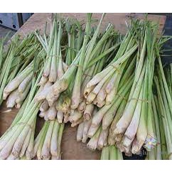 Sả Sạch Thơm Giao Siêu Tốc 1h