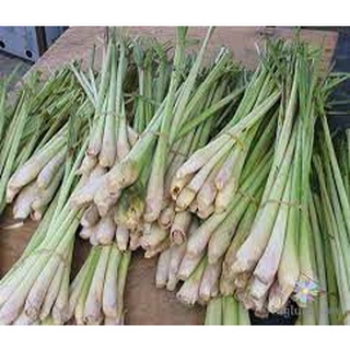 (HN) Sả Sạch Thơm Giao Siêu Tốc 1h