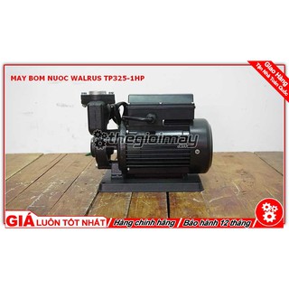 Máy bơm nước bánh răng đẩy cao Walrus TP325