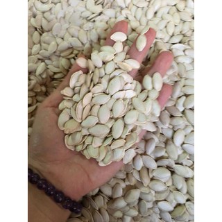 sỉ giá gốc hạt bí trắng 500g - 1kg ( sống- bí ngô)