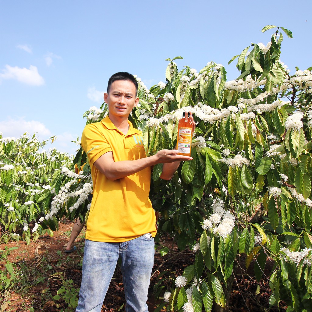 1 Lít Mật Ong Nguyên Chất Hoa Cà Phê Thương Hiệu Họ Hồ - Cam kết nguyên chất 100% - top bán chạy | BigBuy360 - bigbuy360.vn