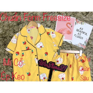 ( Freesize Lụa Hàn ) Đồ Bộ Pijama Lụa Đùi .