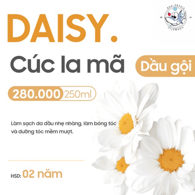 DAISY Shampoo - Dầu Gội Chiết Xuất Cúc La Mã