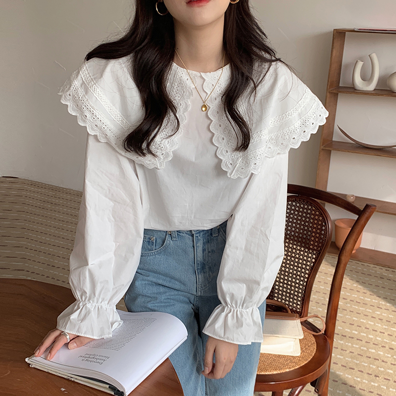 Áo Nữ Tay Dài Phối Ren Thời Trang Quyến Rũ