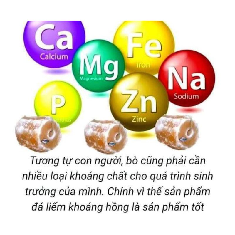 Đá muối khoáng Himalaya nhập khẩu từ Pakistan cho gia xúc