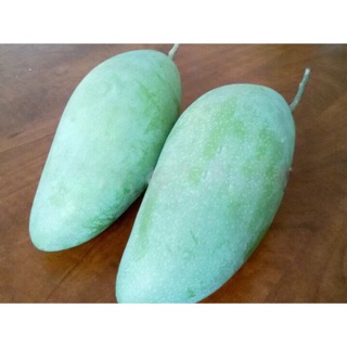 Cây xoài thái