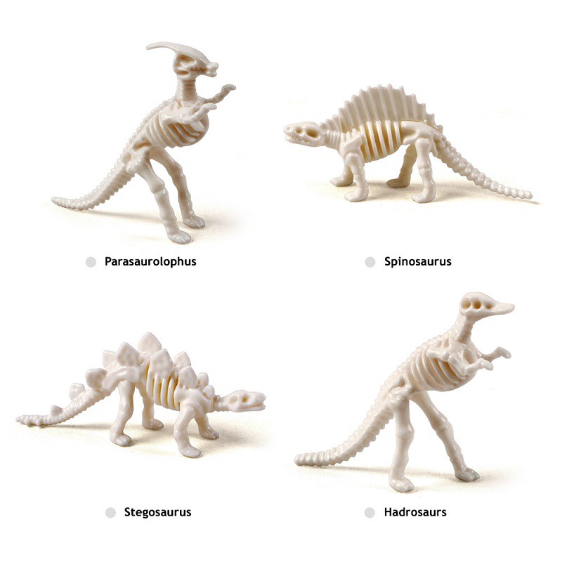 Đồ Chơi Khảo Cổ [FREE SHIP] Tìm Hóa Thạch Khủng Long Dino Skeleton